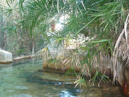 terme-acqua-pia