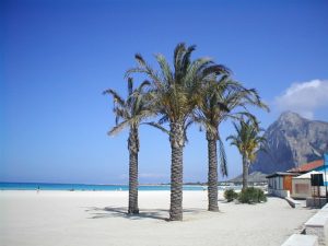 sanvitolocapo181