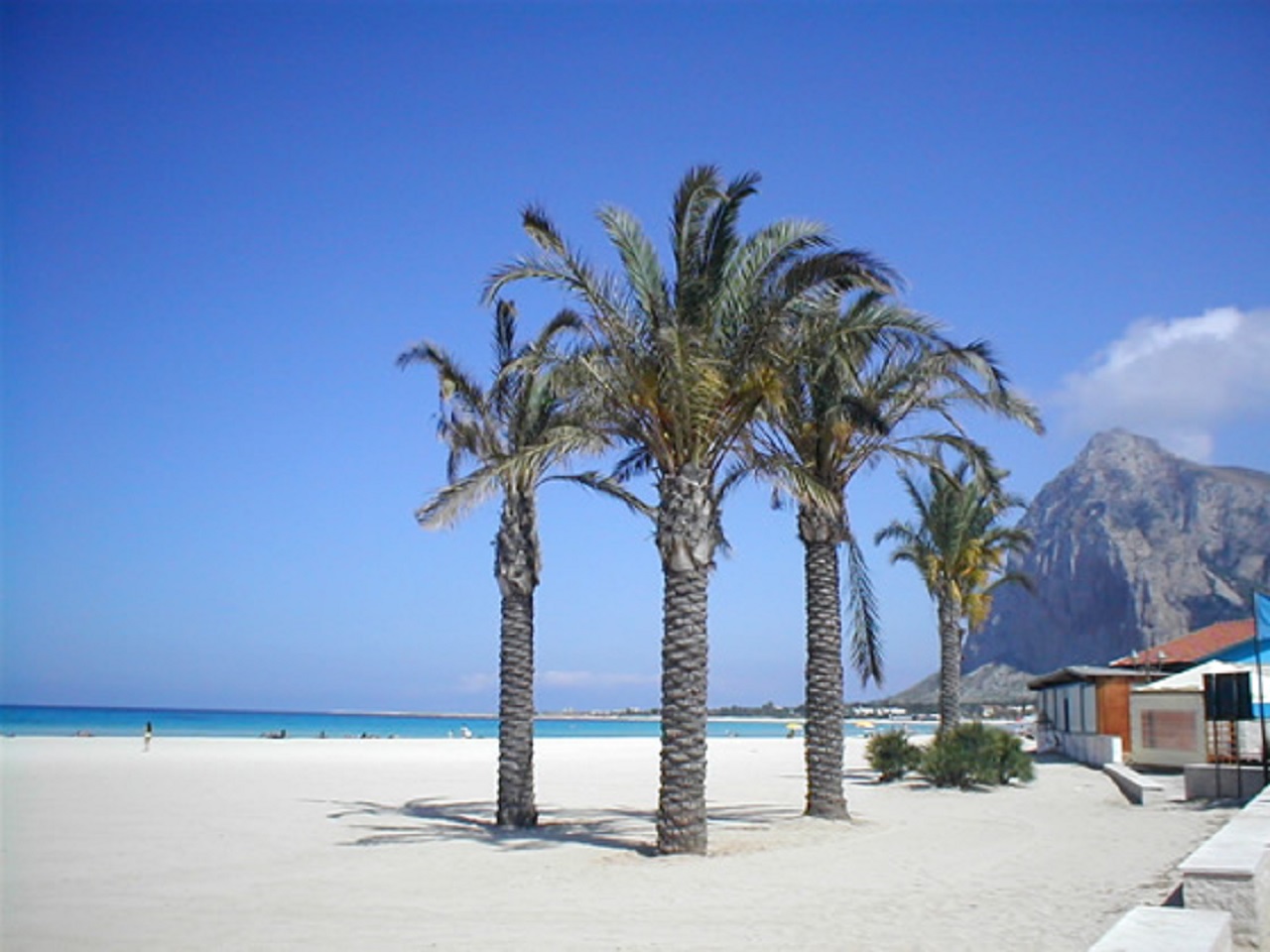 sanvitolocapo181