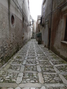 DSCN3527